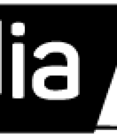 Logobigblack